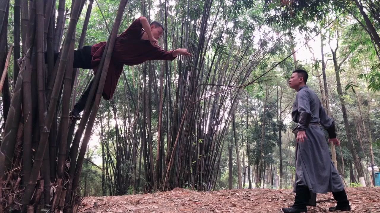 螳螂拳and虎拳